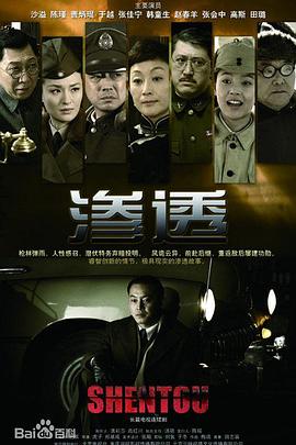 爱犬的奇迹
